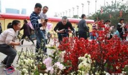 花街最新视频在线观看